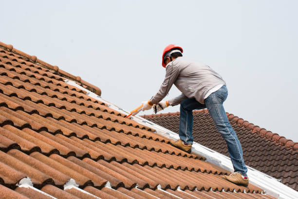 Best Roof Moss and Algae Removal  in Vestavia Hills, AL
