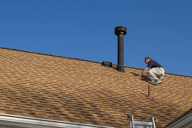 Best Roof Moss and Algae Removal  in Vestavia Hills, AL